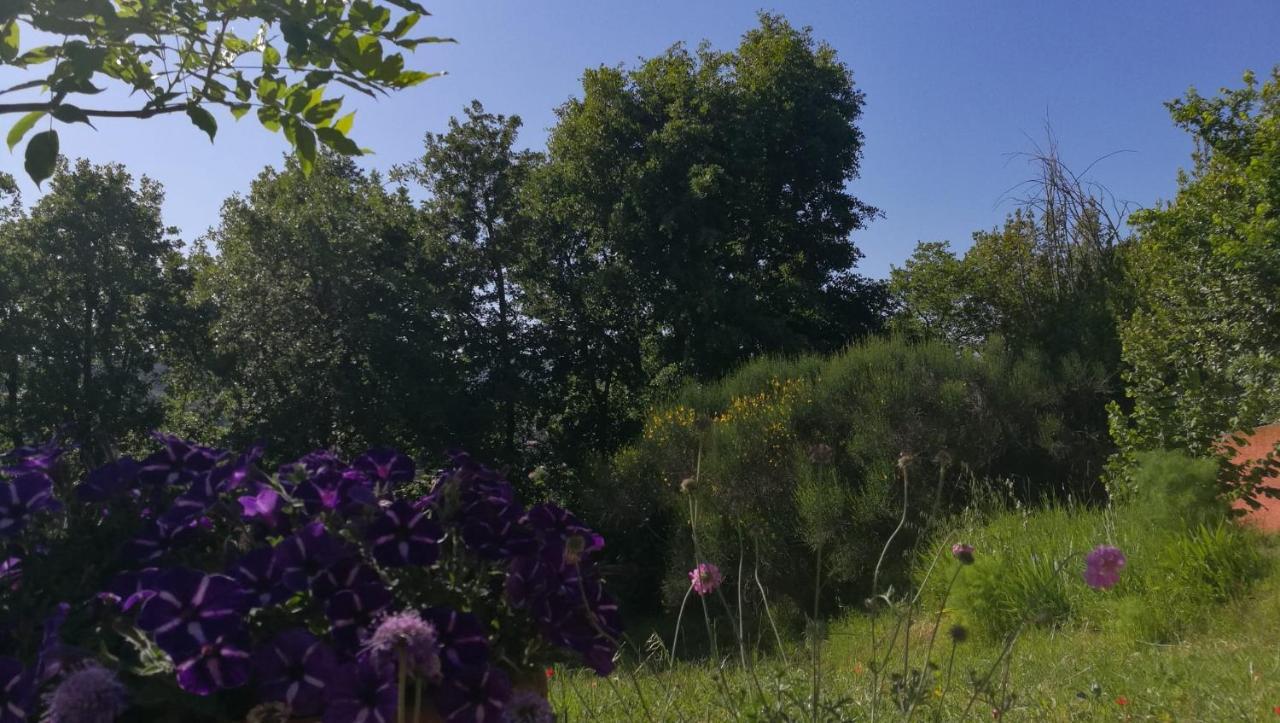 La Merla Perugia Eksteriør bilde